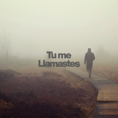 Tu me Llamastes