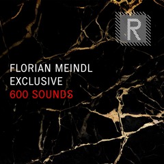 Florian Meindl Exclusive Sounds 2023 (Sample Pack Demo Song)