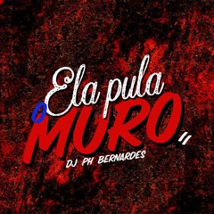 ELA PULA O MURO ((DJ PH BERNARDES)) MC's MAGRINHO, JAJAU, MH 031, KITINHO & JN DA 10