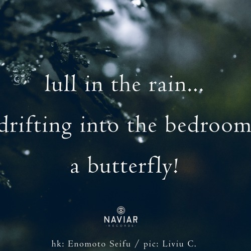 haiku #501: lull in the rain… / drifting into the bedroom / a butterfly!
