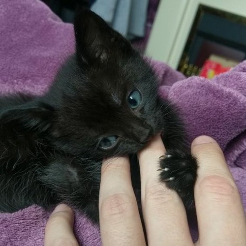 LEAVEMEALONE - 9utpuddl3s