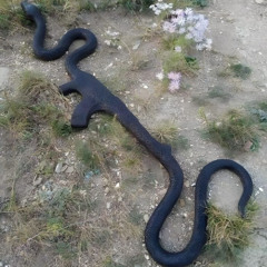 silly bandz prod EHZ