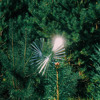 FAFF at Draaimolen Festival 2024 DJ mix artwork - Electronic music tracklist cover image