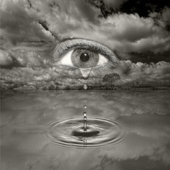 Cetti - Tear Drop