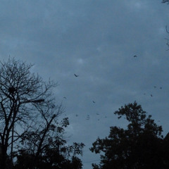 everything is (not) hopeless