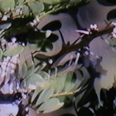 JMV - Toyota Waiting Room