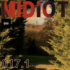 250801 - MIDIOT - 017.1