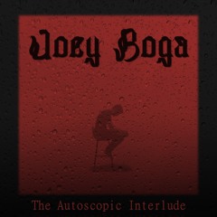 The Autoscopic Interlude