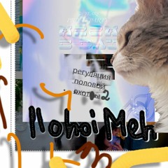 Plohoi Meh Регуляция Половой Охоты 2