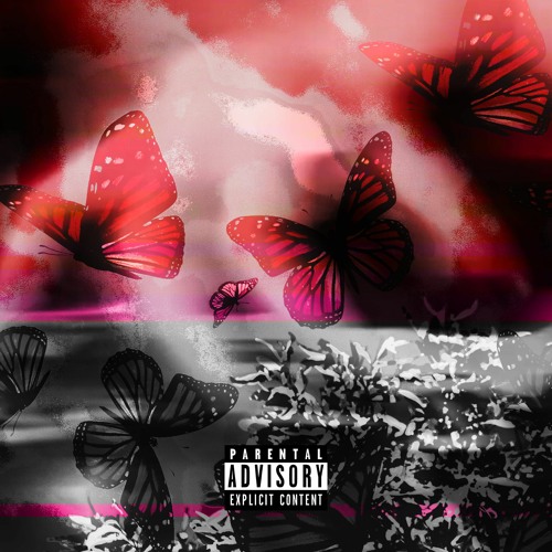 TOP SHELF / OFF BLACK