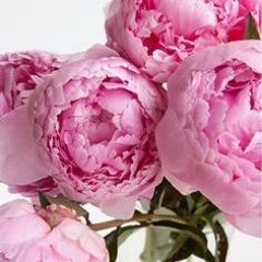 ROZALI: MARI SIZAY piano : FABIO MAROUVIN