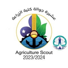 {حبوبة هي} صيحة زراعة الشاطبي مهرجان الاسمار ال2