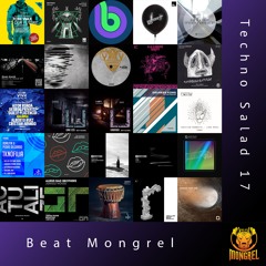 Techno Salad mix series