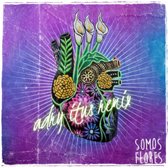 Bomba Estéreo. Flower Power Remix