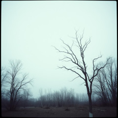 When the Numbers Leave