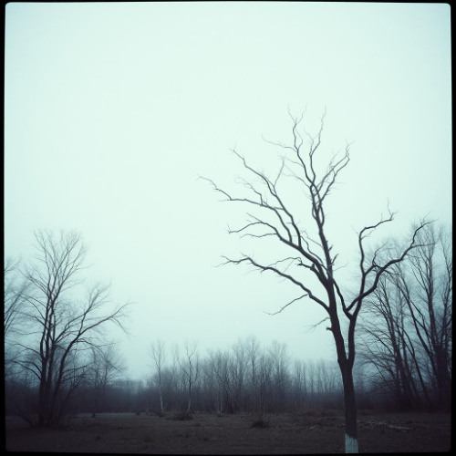 When the Numbers Leave