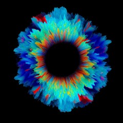 BIRDIE - CHURÔ (Os Tincoãs) ID