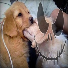 #GottiMoneyBeat - (Prod. Kl0yy)