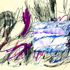 THE WONDER CABINET w/ Hatem Imam 251124