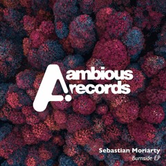 Premiere: Sebastian Moriarty - La Brea [Ambious Records]