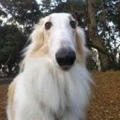 the big cheese returns🧀🧀