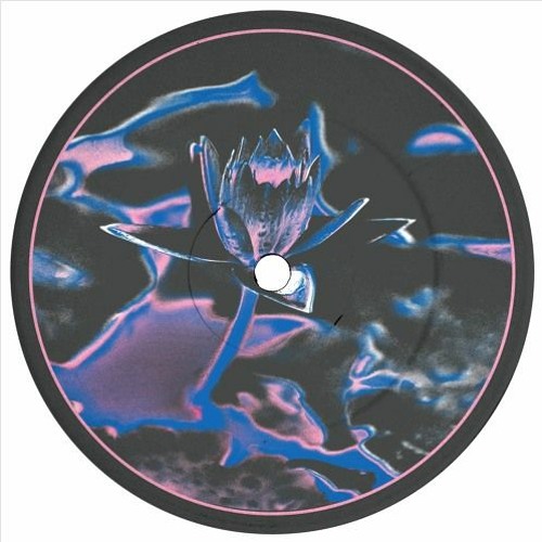 SWOOSE - LOTUS