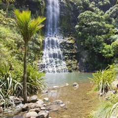 2hollis lost discography