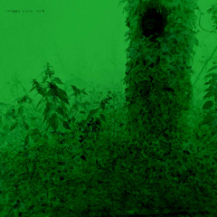 Lawn Formation - Mighty Misty Arrival