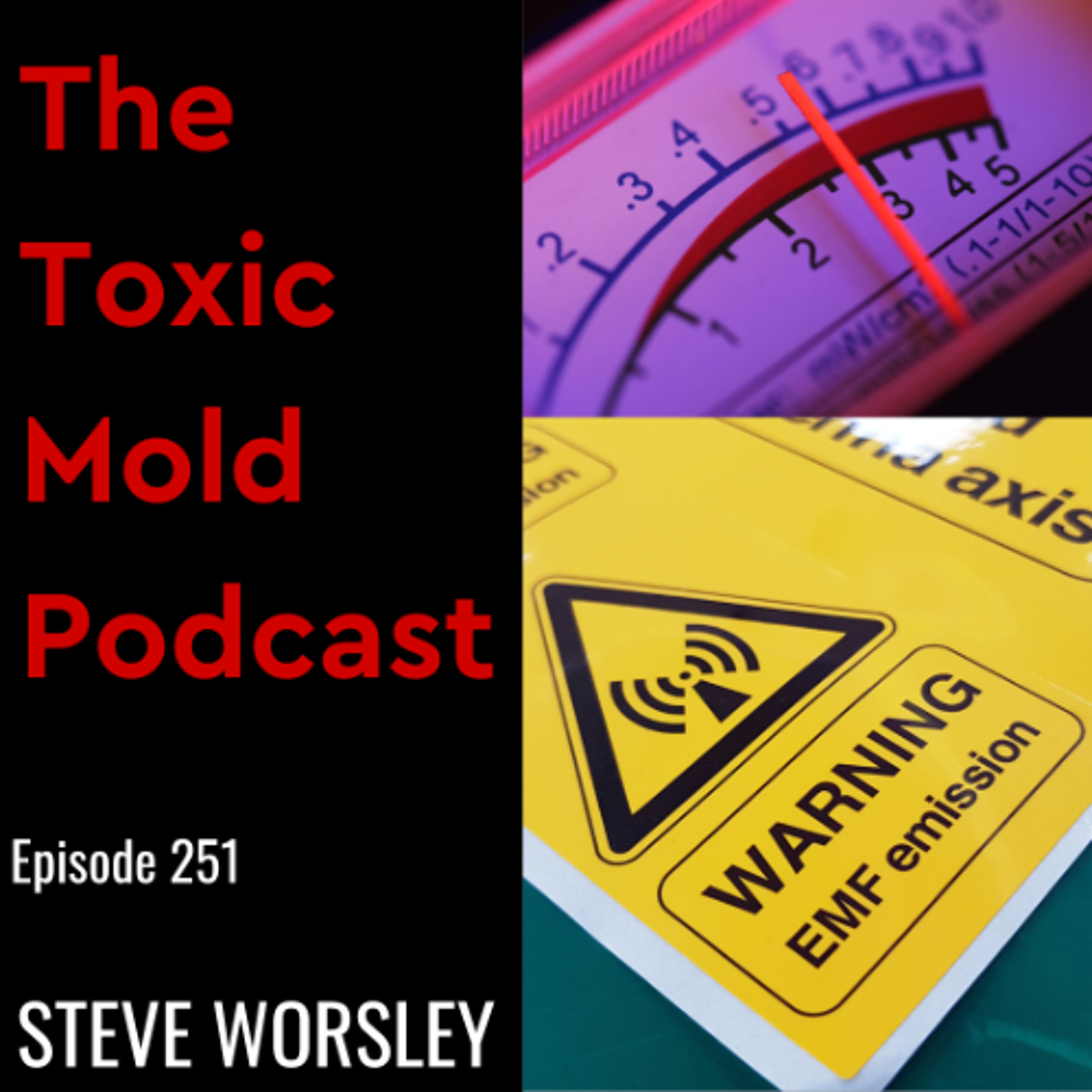 The Toxic Mold Podcast