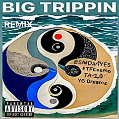 Big Trippin (Remix) ft. FTF Cosmo, TA-1.0, & YG Dreamz (Prod. PAIN)