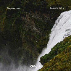 Diego Acosta (UY) - Learning To Fly (Original Mix) [Flug Lab]