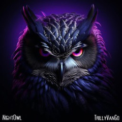 NightOwl