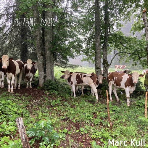 Marc Kull [13.01.2022]