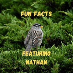 Fun Facts Featuring Nathan