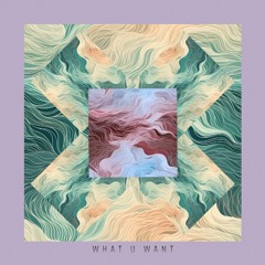 Mappo - What u Want