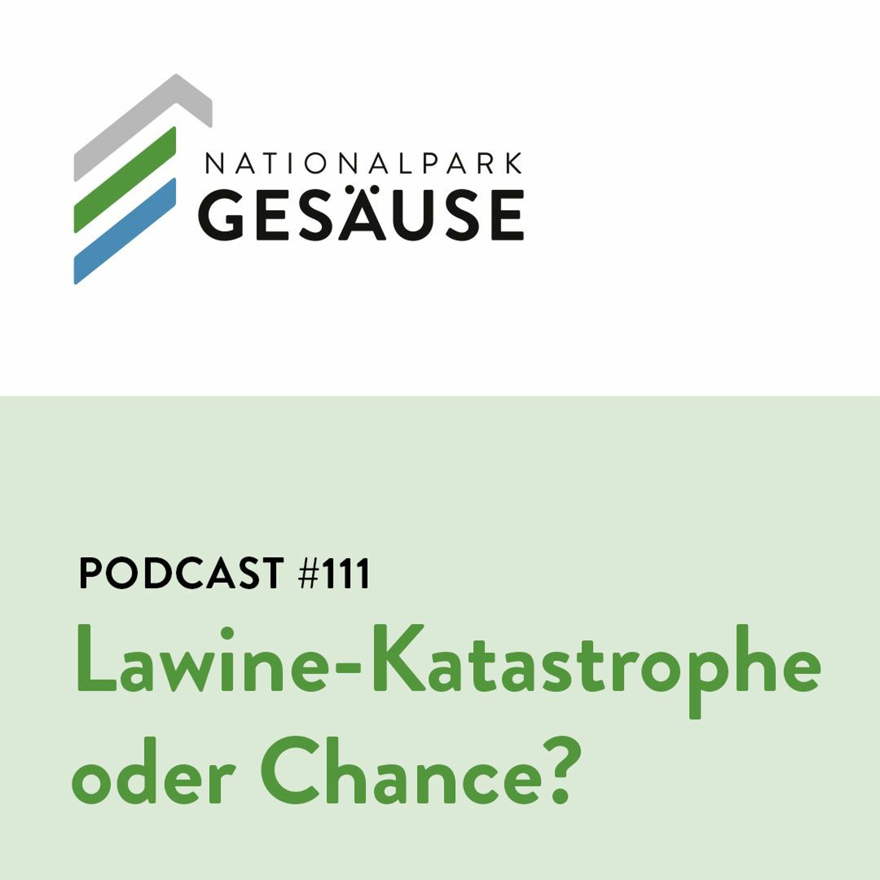 Podcast #111 - Lawine - Katastrophe oder Chance? episode artwork