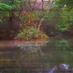 SUMMER TRIPPLE TAPE