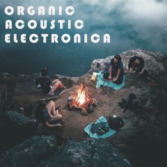 Organic Acoustic Electronica