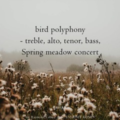 Bird Polyphony  (Naviarhaiku 495)