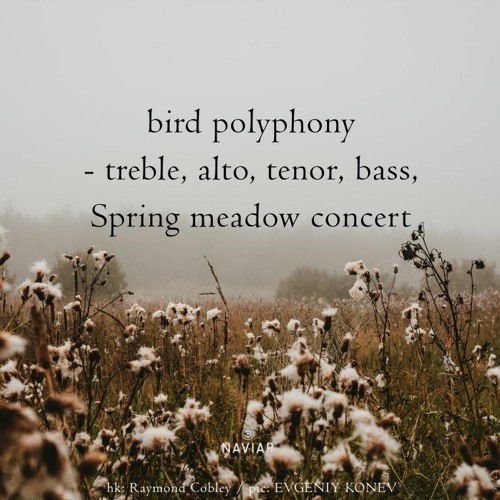 Bird Polyphony (Naviarhaiku 495)