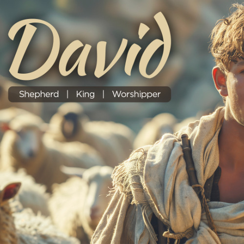 David 8 - David's Trouble Pt 2
