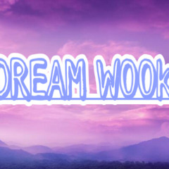 DREAM WOOk