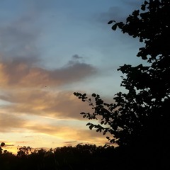 The Powe / Flying Horses LIVE 29.10.23 - Bad Case Of Loving You