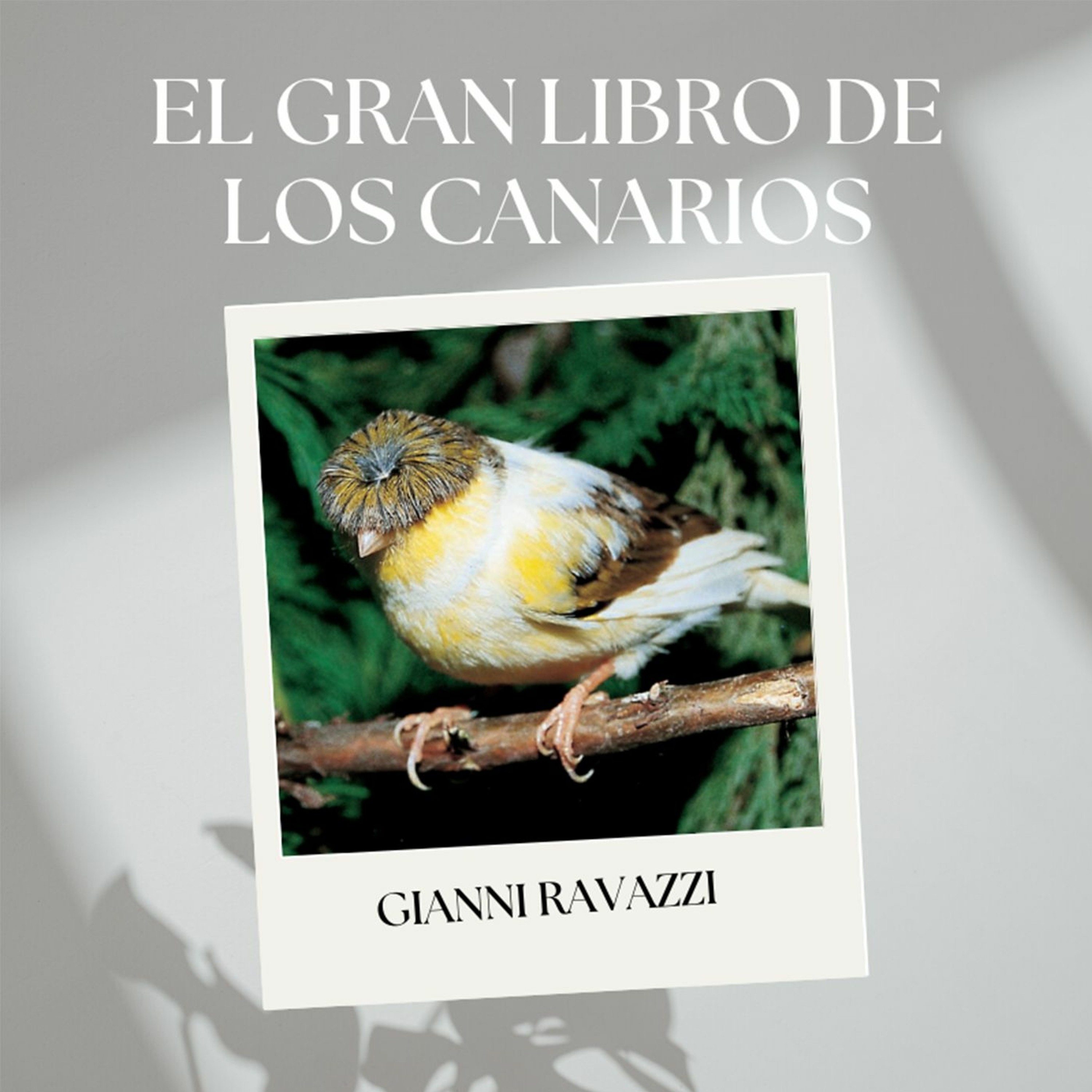 Devecchi Ediciones