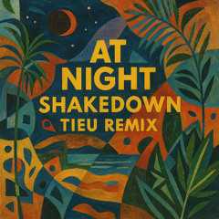 Shakedown - At Night (TIEU Remix, short edit)