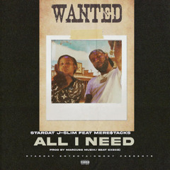All I Need (feat. Mere$tacks)