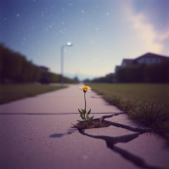 Wildflower