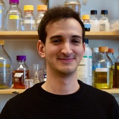 Converging Paths, Ep. 2: Avi Singer