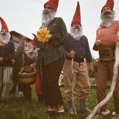 gnome