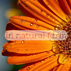 In Natural Form (Ft. Phlox)